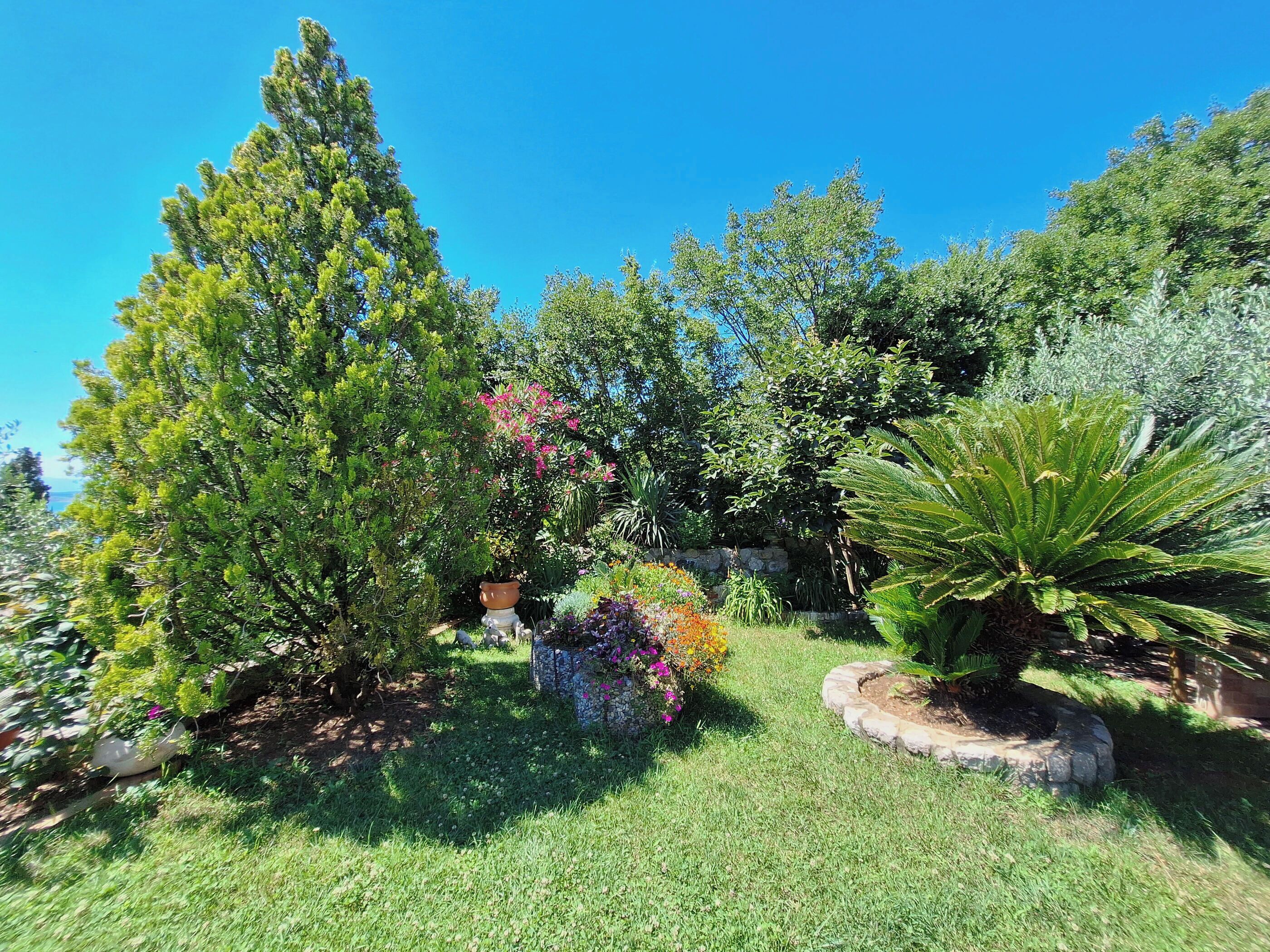 A well-maintained garden with various trees and shrubs, a stone wall, and a circular stone bed.