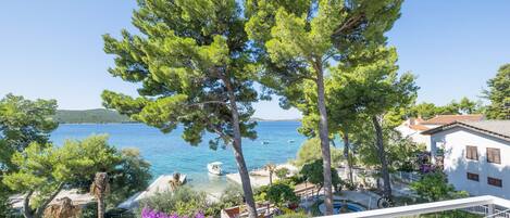 Quang cảnh mặt nước