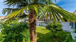 Una palmera en un jardín cuidado, con un edificio al fondo.