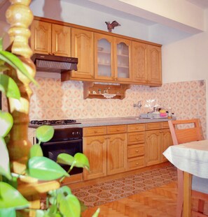 Apartment (A1) | Private kitchen - Apartment Anica (Starigrad)