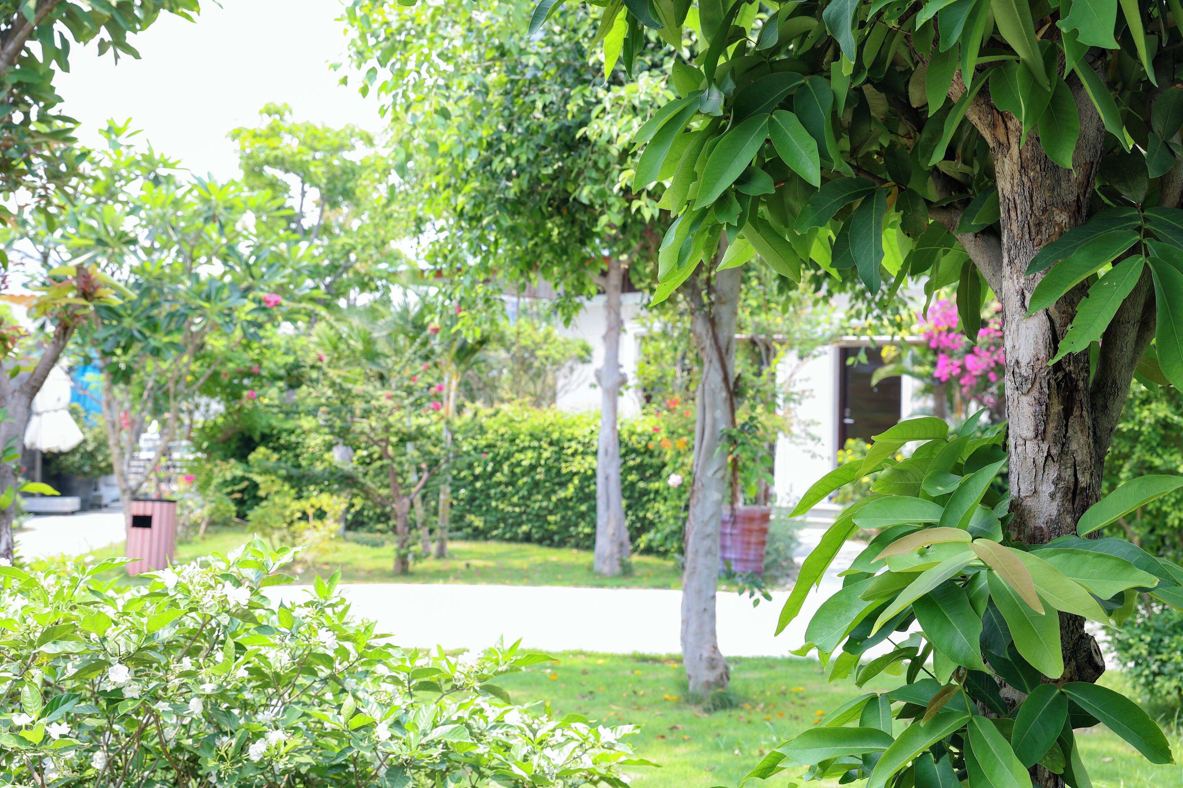 A lush garden with various trees and shrubs, a pathway, and a building in the background.