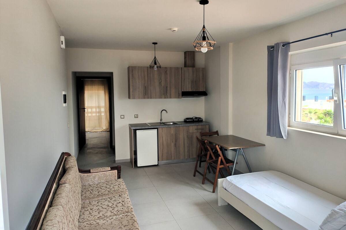 A compact living space with a kitchenette, a dining area, a sofa, and a bed.