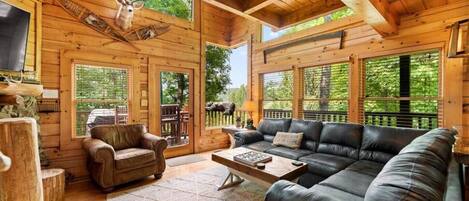 Televisión, chimenea, videojuegos, reproductor de DVD