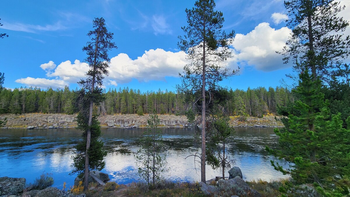 Värdens profilbild