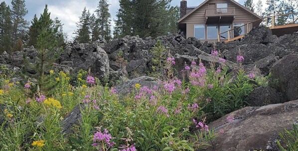 Ein Haus mit Balkon mit Blick auf eine felsige Landschaft und verschiedenen Wildblumen.