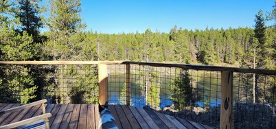 Cabin on Henry's Fork, stunning river views,  footpath to river, sleeps 8