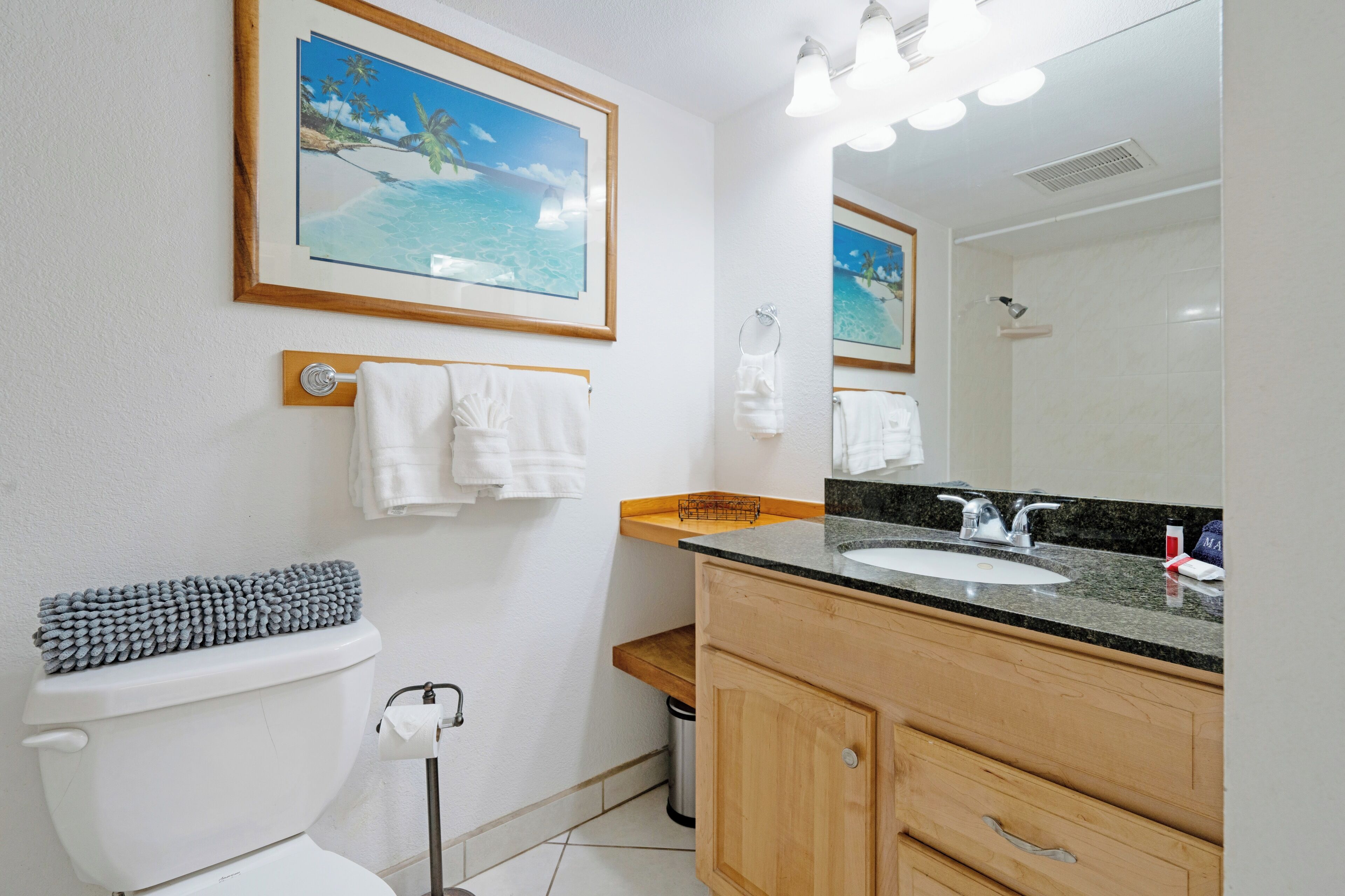 Combined shower/tub, hair dryer, towels