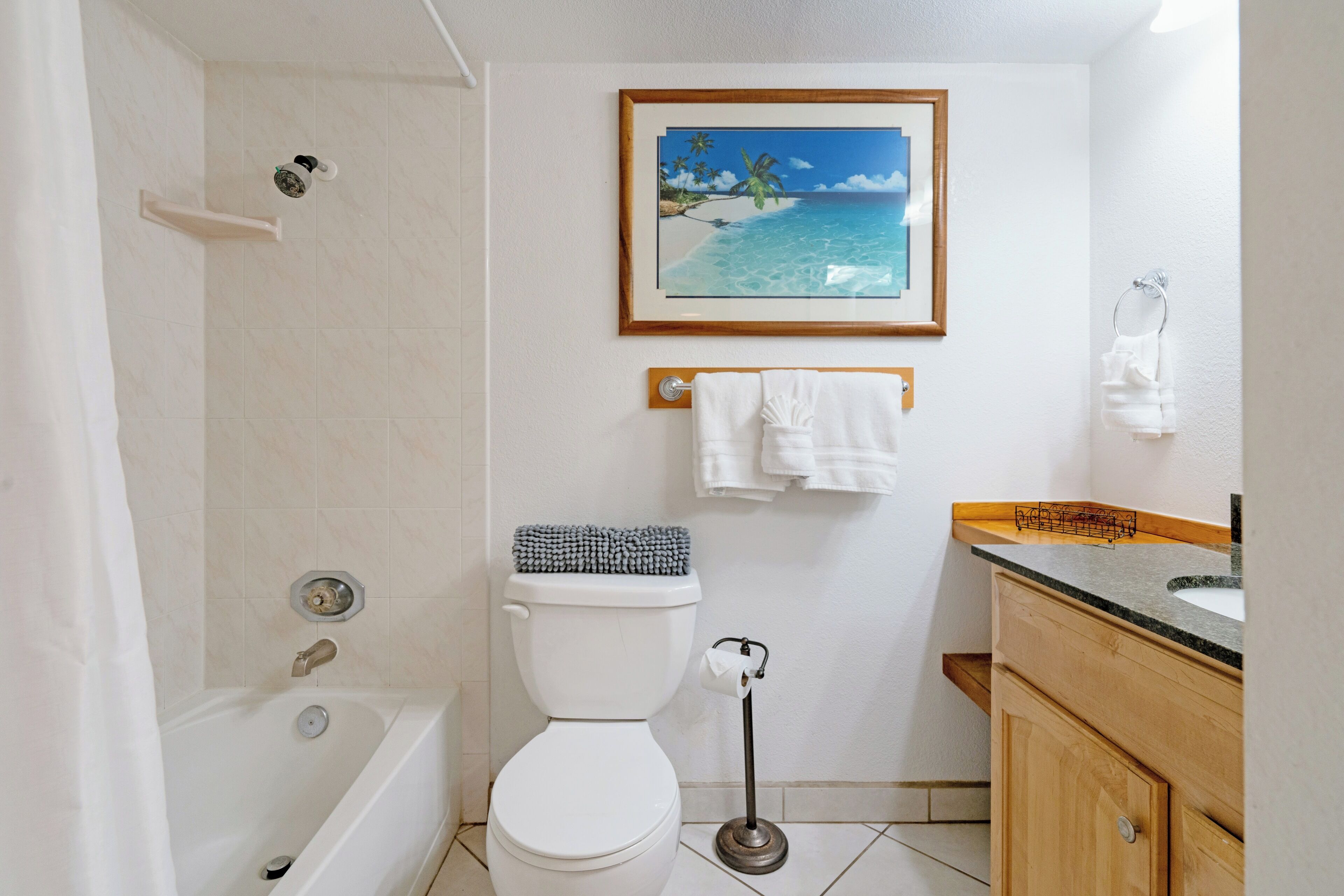 Combined shower/tub, hair dryer, towels