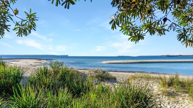 A beach with clear skies and calm waters.