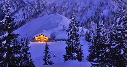 Apartment Dachstein (ca. 55 qm) - Haus Alpina