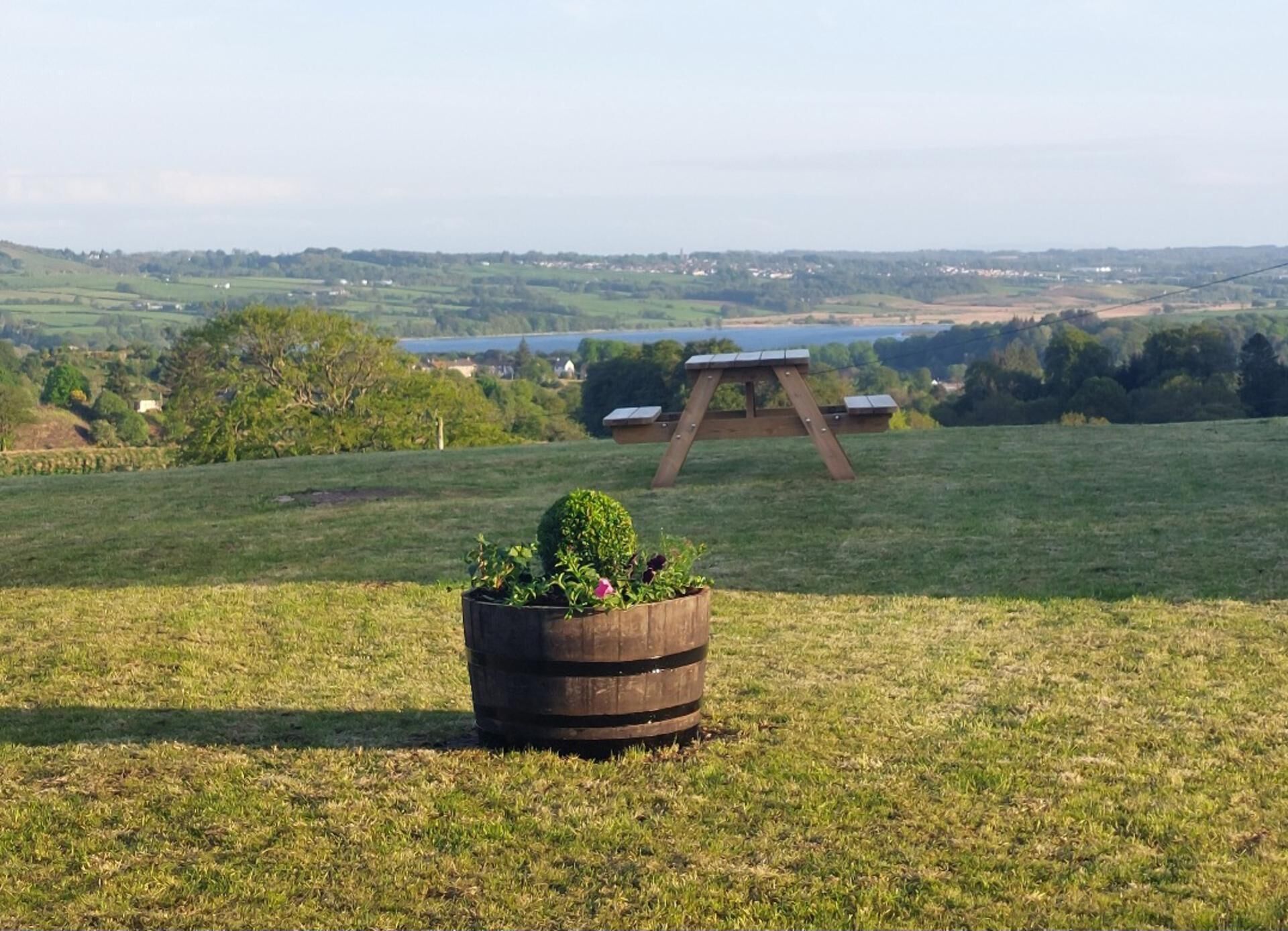 Un campo cubierto de césped con una mesa de picnic de madera y una jardinera con follaje.