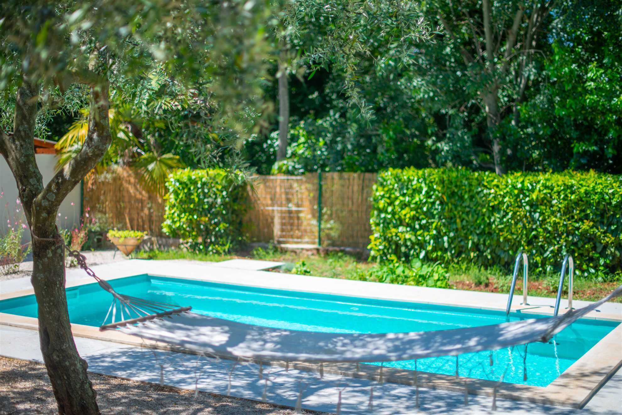 A swimming pool with a hammock, surrounded by lush greenery and a wooden fence.