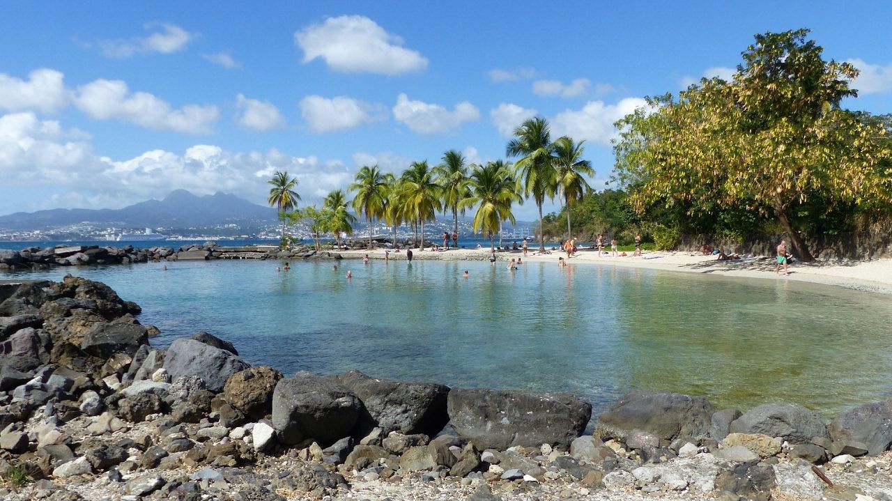A beach with clear water, palm trees, and rocky shore.