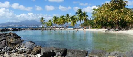 A beach with clear water, palm trees, and rocky shore.