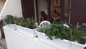 Outdoor planters with various plants and wooden stakes. - Appartement Seignosse Océan (seignosse)