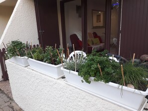 Exterior detail - Appartement Seignosse Océan (seignosse)