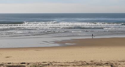 Appartement Seignosse Océan