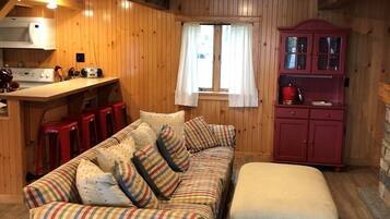 Smart TV, chimenea y libros