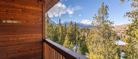 Condo, 2 Bedrooms, Mountain View | Property grounds