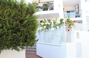 Detalle del exterior