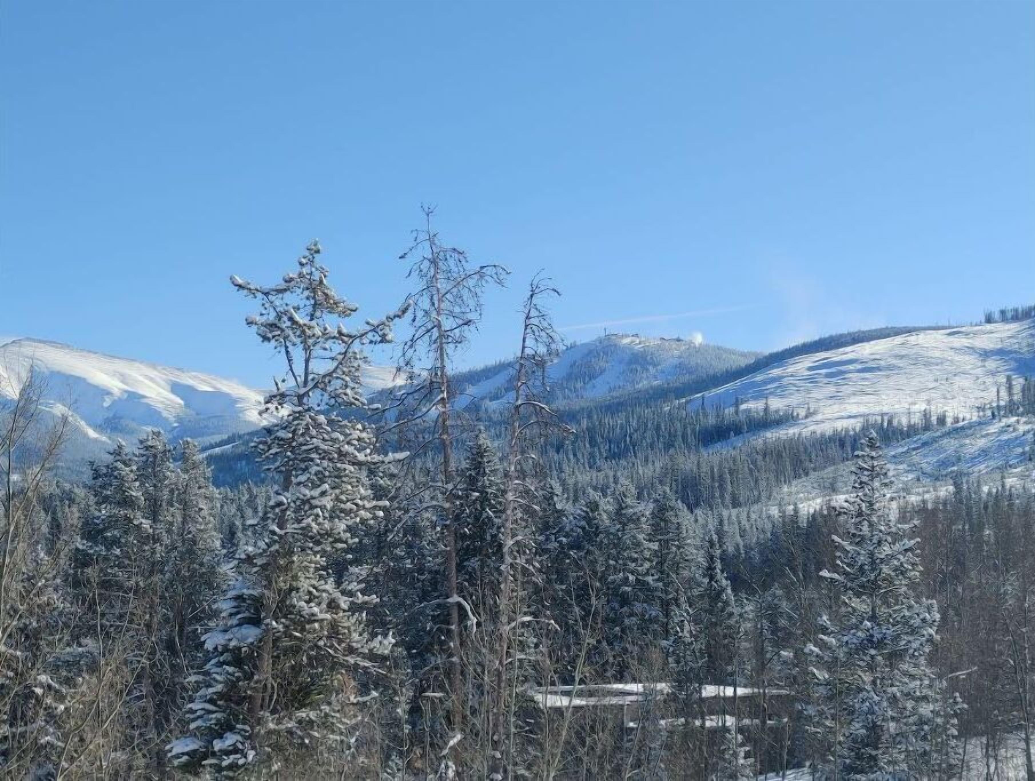 Eine verschneite Berglandschaft mit dichten Wäldern und blauem Himmel.