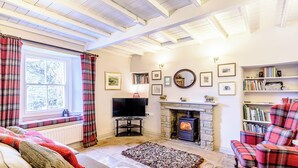 TV, fireplace, Netflix, streaming services - 2 bedroom accommodation in Gunnerside, near Richmond (Gunnerside, near Richmond)