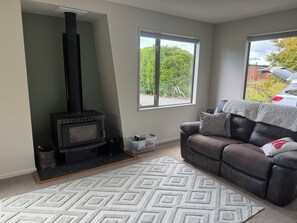 Smart-tv, eldstad, dvd-spelare och böcker