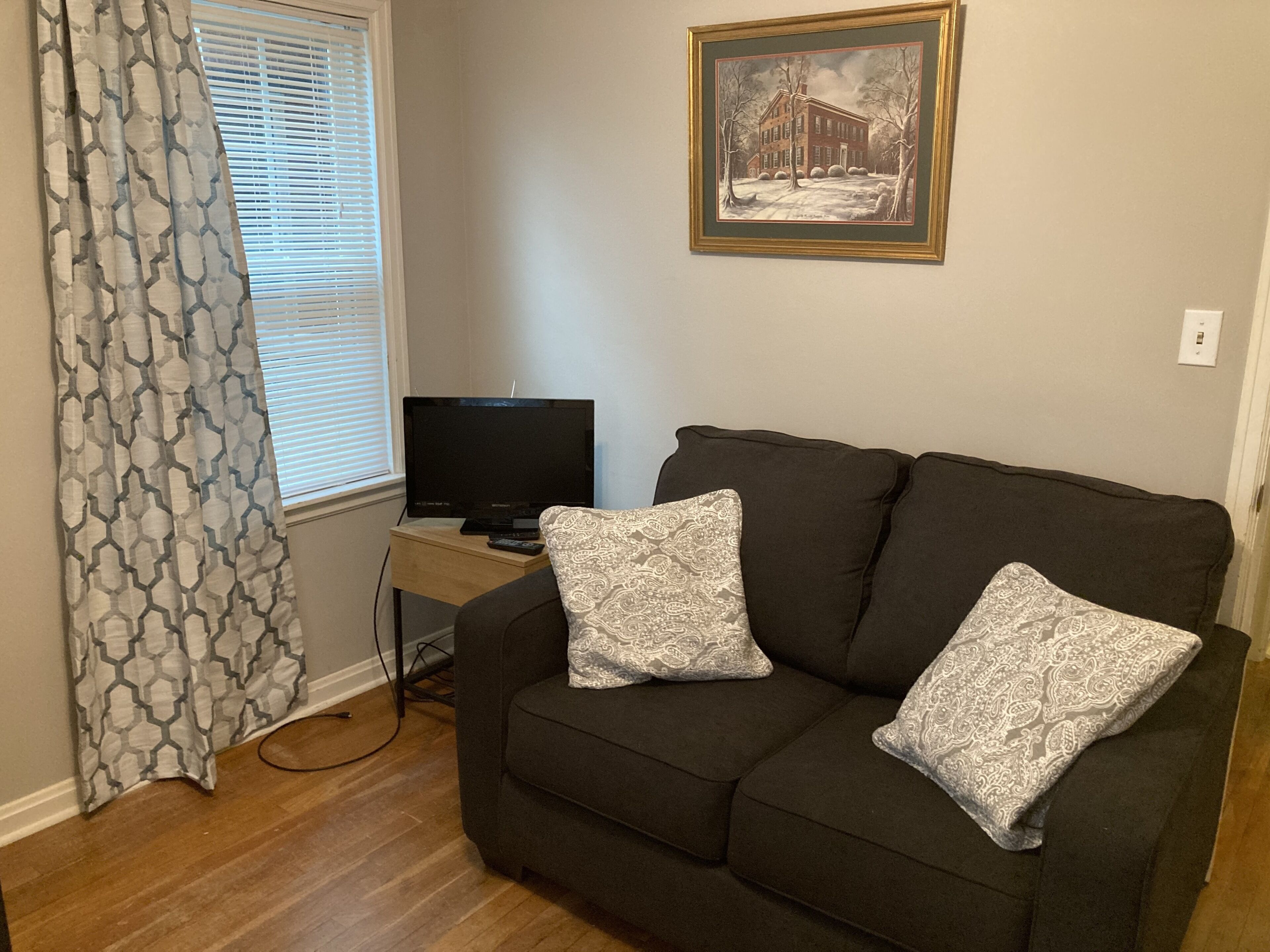 Smart TV, fireplace, DVD player, books