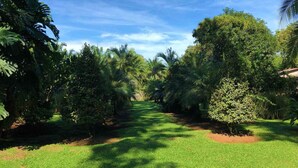 A pathway flanked by lush greenery and trees, leading through a well-maintained garden area. - Casa Naranjito (Naranjito)