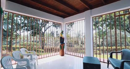 Casa Naranjito