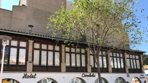 Un edificio con ventanas de arco y un árbol en primer plano.