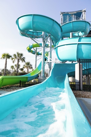 Enjoy thrilling water slides and a central pool area surrounded by lush palm trees.
