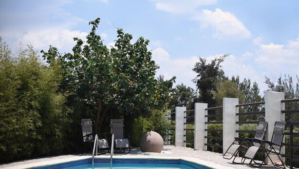 A swimming pool with lounge chairs and a large rock, surrounded by greenery and a clear sky. - Capital O Plaza Galindo (San Juan de los Lagos)