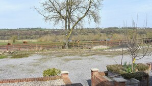 Ländliche Landschaft mit einem großen Baum, einem Kiesweg und einem Holzzaun.