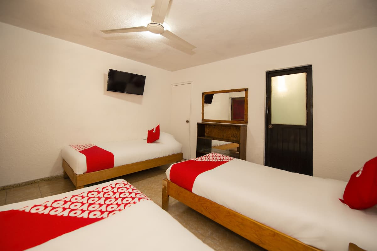 A room with two single beds, a ceiling fan, a TV, a mirror, and a door.