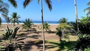 A beach with palm trees and a clear blue sky. - Ocean front and just steps from the pools and ocean! (Jacó)