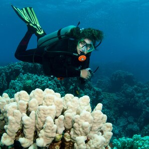 Apartamento, 1 habitación | Sala de fitness