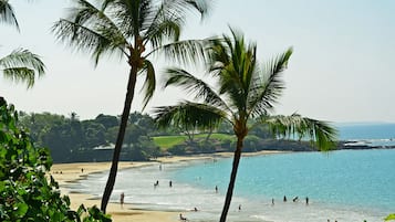 Condo, 1 habitación | Playa | Playa en los alrededores