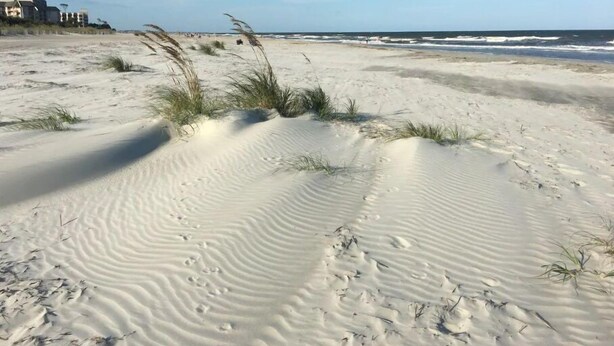 Una playa arenosa con dunas, algunos edificios al fondo y el océano.