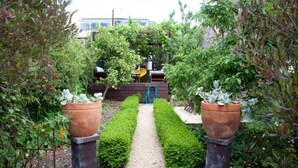 A garden pathway flanked by neatly trimmed hedges and two large terracotta pots.