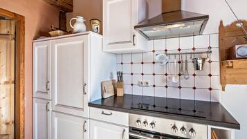 Fridge, oven, stovetop, electric kettle