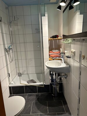 Dusche, Haartrockner, Handtücher