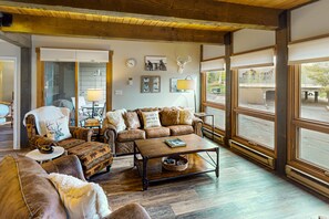 TV, fireplace, books