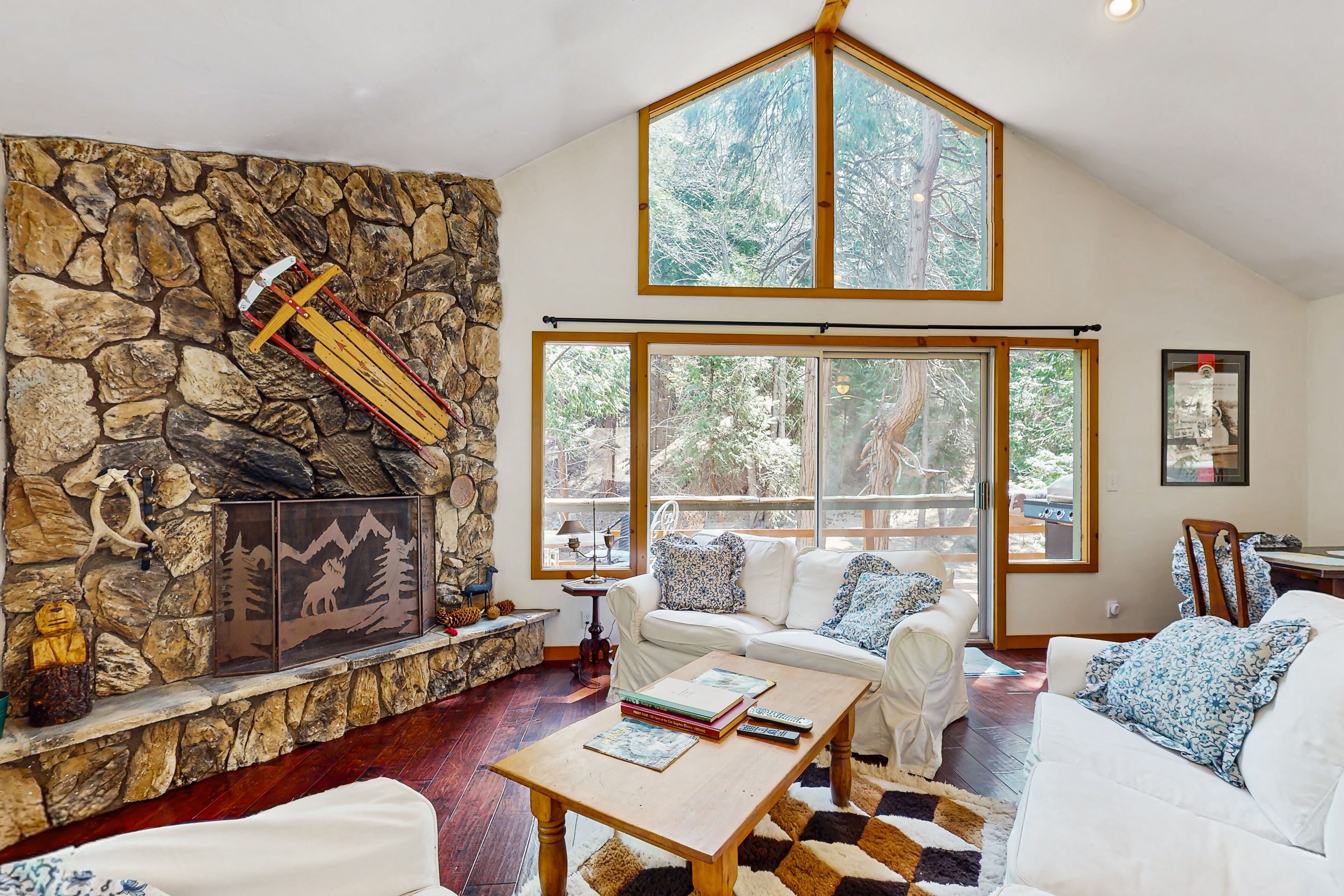 TV, fireplace, books