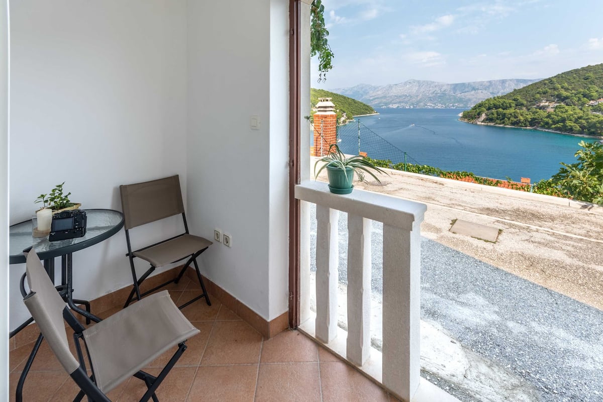 A balcony with a table and chairs, a potted plant, and a view of a coastal landscape.