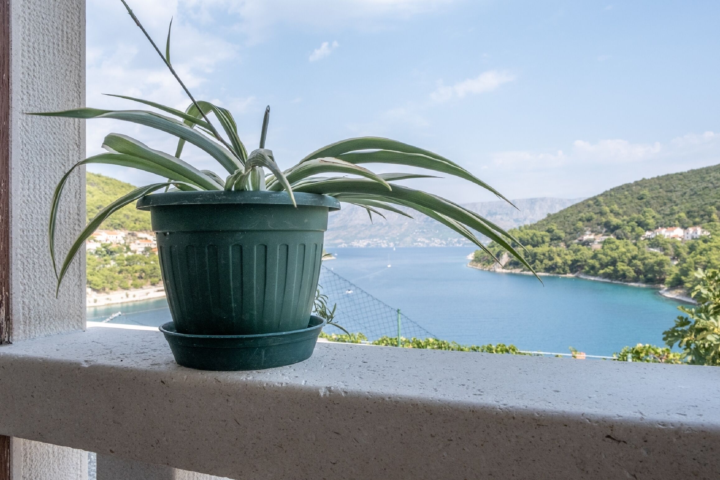 Studio (Studio Apartment with Sea View) | Blick von der Unterkunft