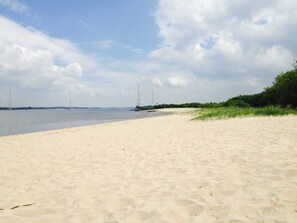 Una spiaggia sabbiosa con acque calme, linee elettriche in lontananza e vegetazione lungo la riva.
