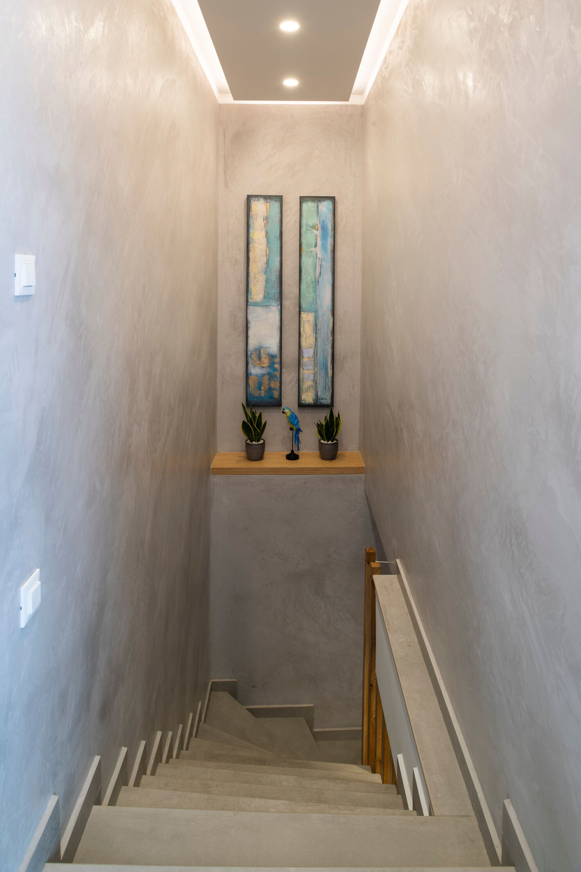A narrow staircase with a wooden handrail and a shelf with two potted plants.