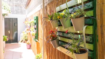 Apartment (One Bedroom Apartment) | Bahagian luar