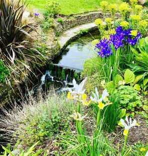 Property grounds - Kingfisher Cottage Pendra Loweth Falmouth 2 min drive to beach, enclosed garden. (Falmouth)